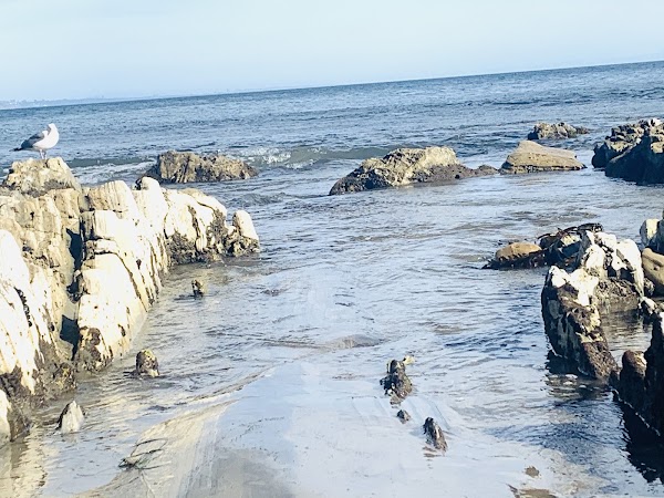 Paradise Cove Road 5