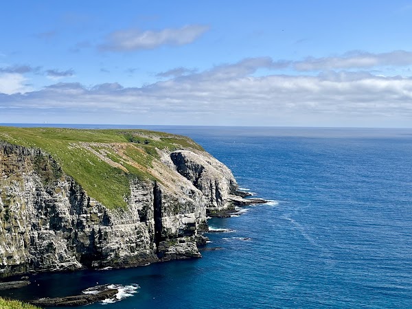 Cape St. Mary's Ecological Reserve 1