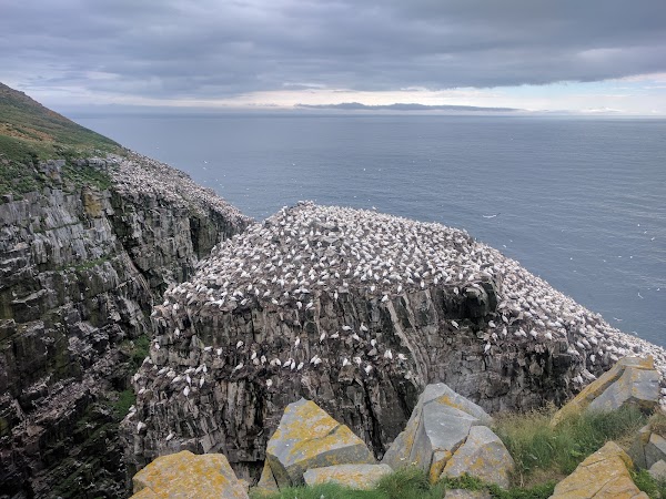 Cape St. Mary's Ecological Reserve 5