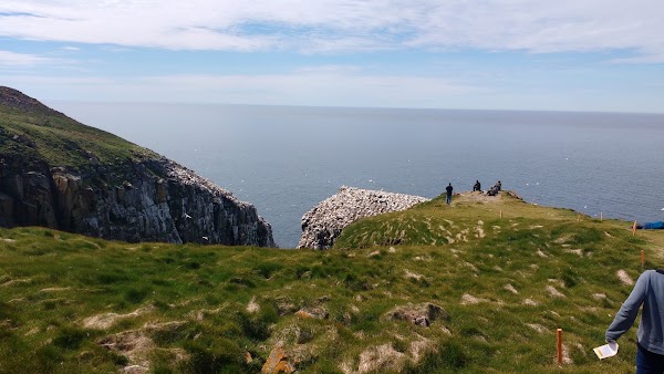 Cape St. Mary's Ecological Reserve 4