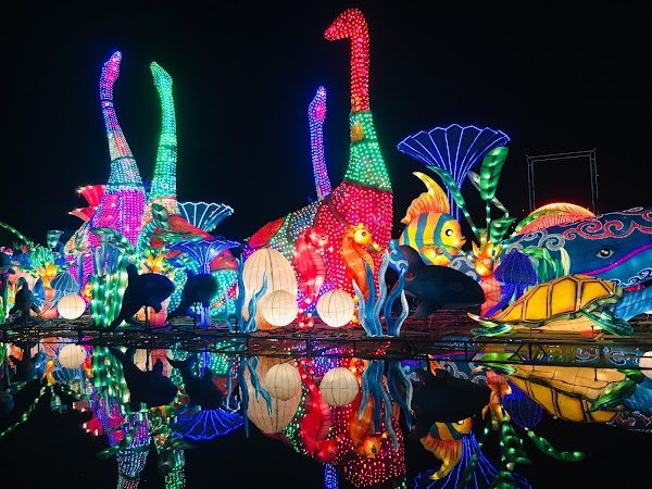 Dubai Garden Glow 3