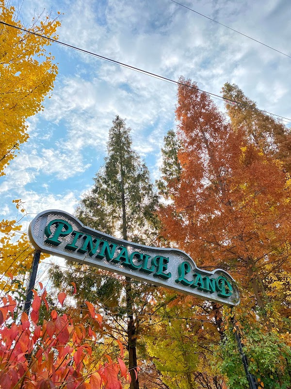 Pinnacle Land