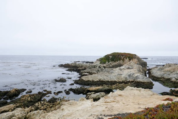 Thames Beach 2