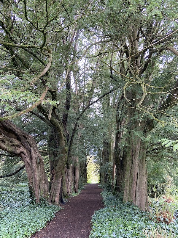 Lismore Castle 2