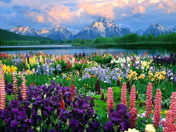 Bridger-Teton National Forest 4