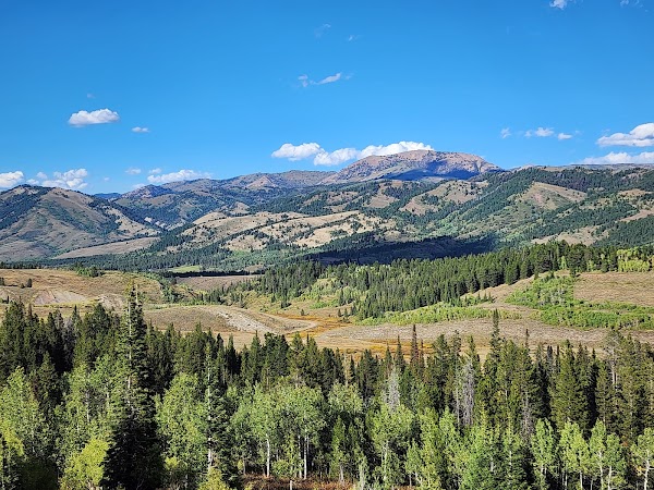 Bridger-Teton National Forest 2