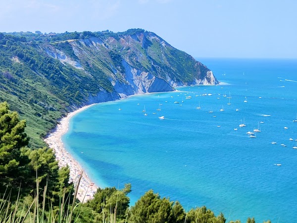 Le Marche  22