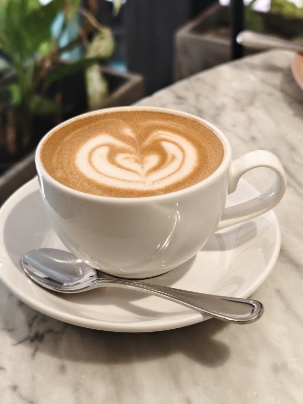 Café Unido Casco Viejo 4