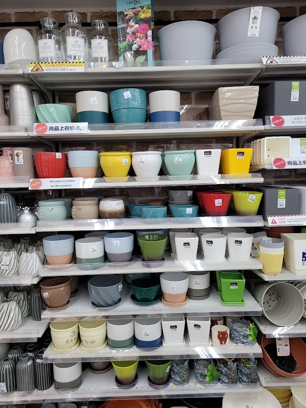 DAISO Busan Haeundae 3