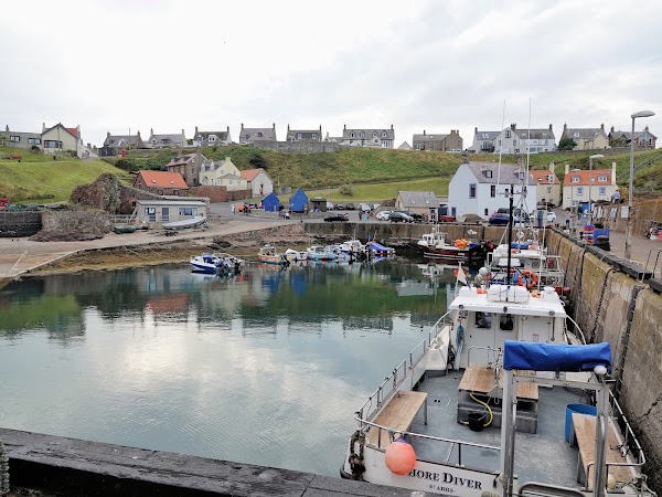 Saint Abbs 5