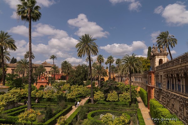 Jardines alcazares
