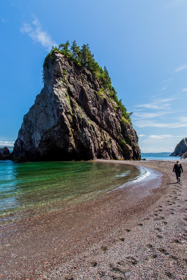 Chance Cove 2