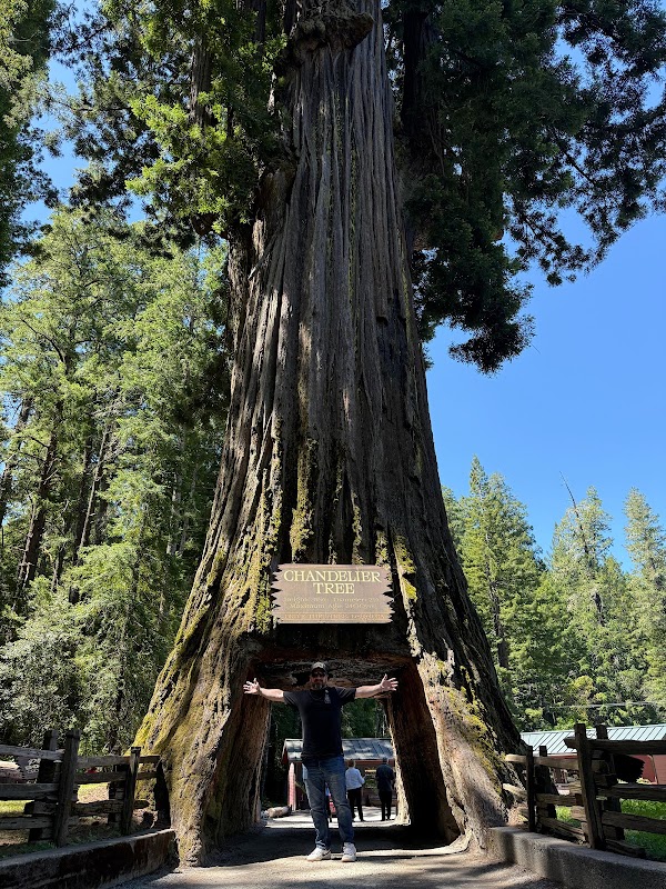 Roadtrip 4