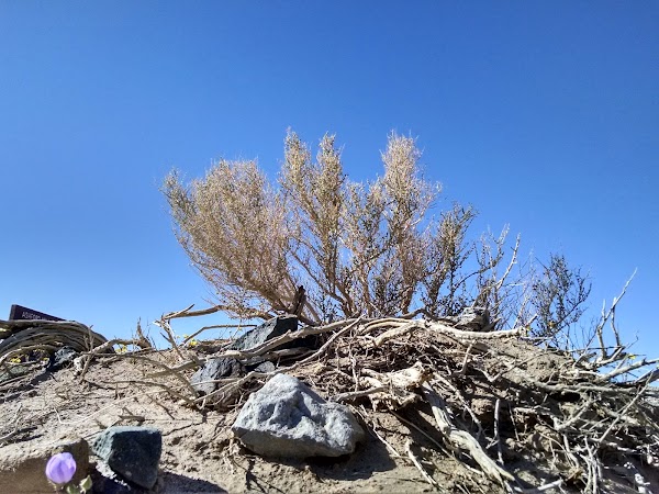 Ashford Mill Ruins 4