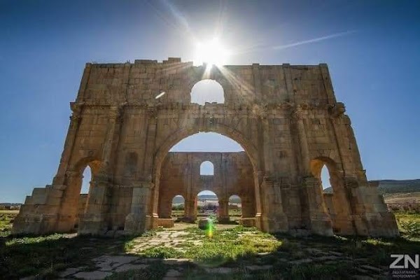 Timgad 4