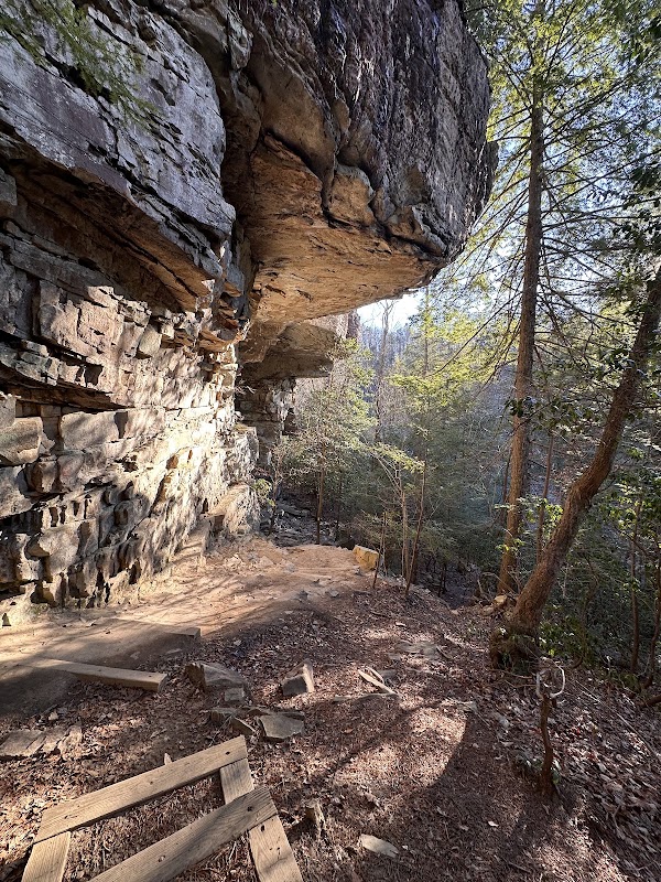Greeter Falls Waterfall 4