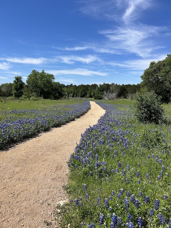 Lady Bird Johnson Wildflower Center 4
