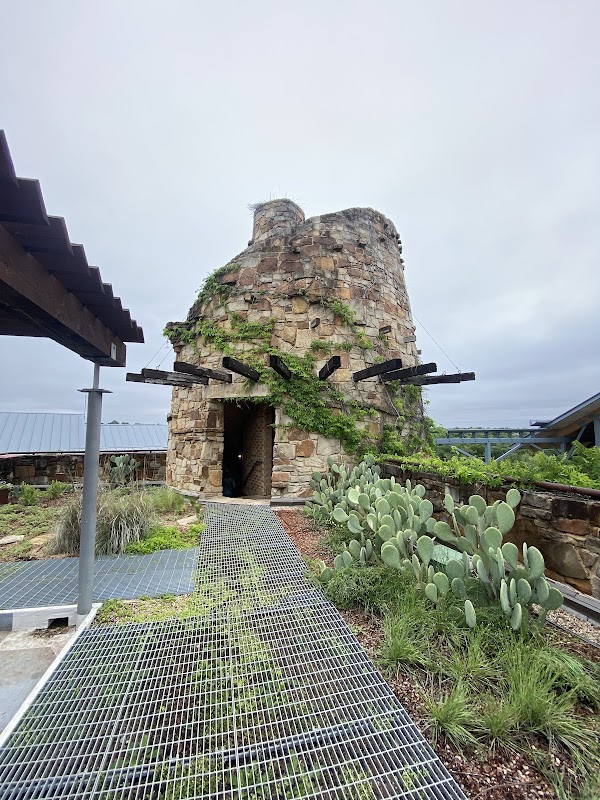 Lady Bird Johnson Wildflower Center 2