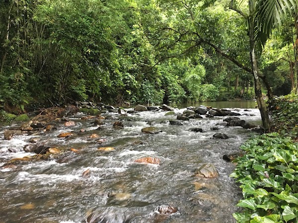 Wing Hin Waterfall 1