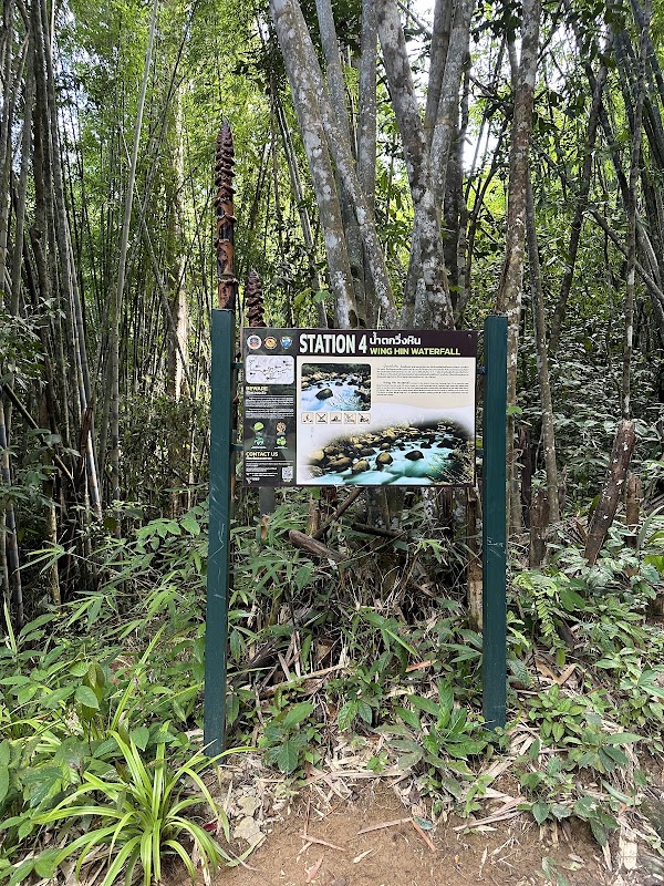 Wing Hin Waterfall 3