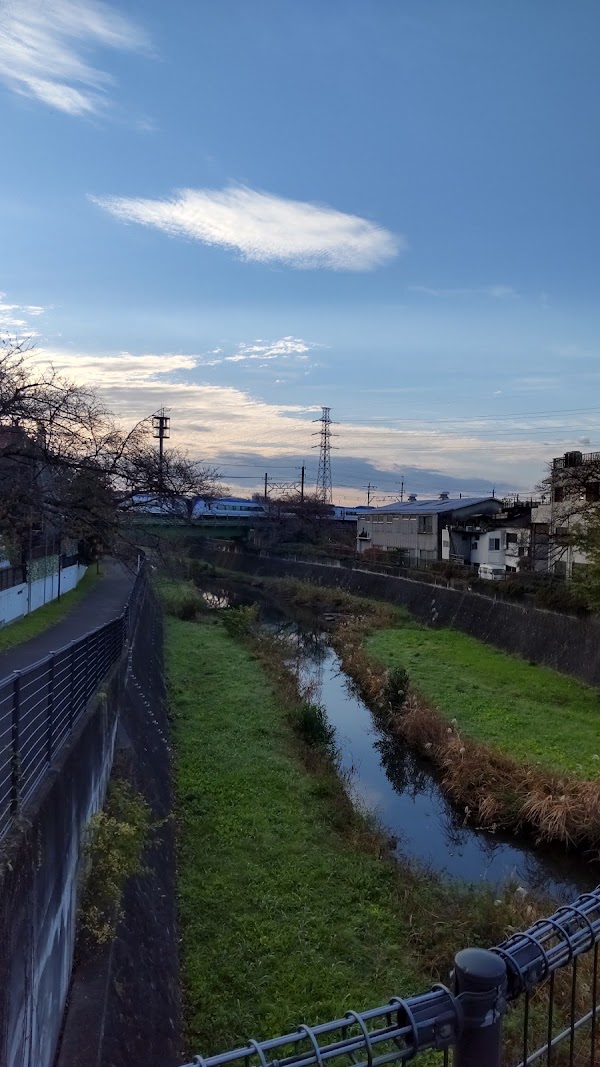 Tachikawa