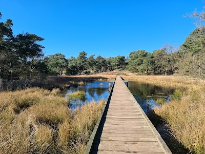 National Park De Maasduinen