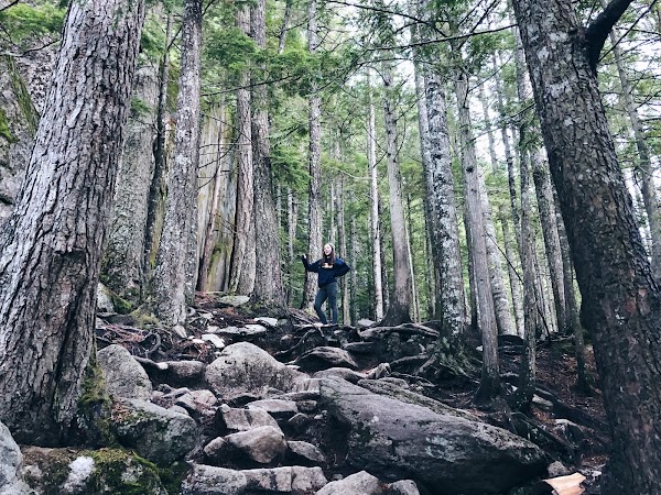 Stawamus Chief Trail 3