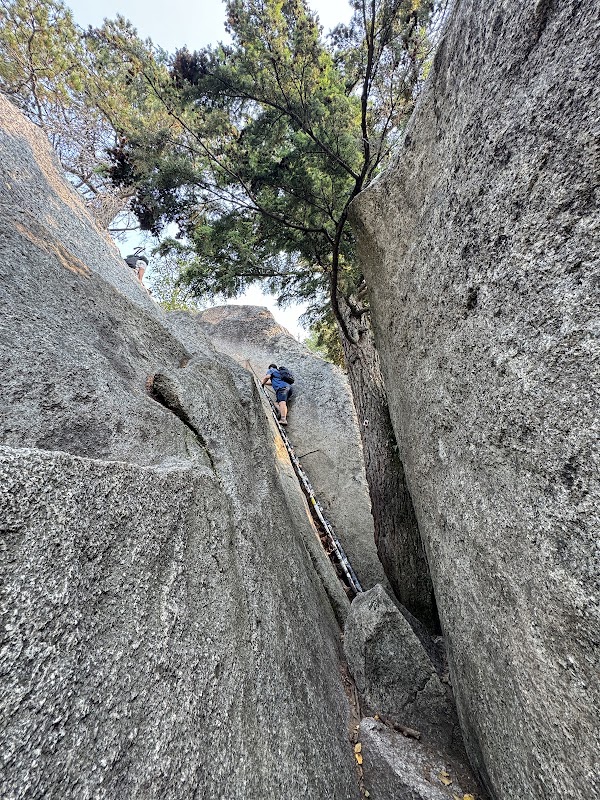 Stawamus Chief Trail 2