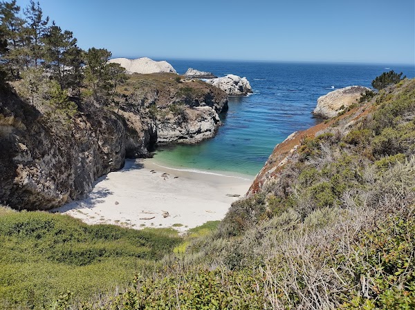 Point Lobos State Natural Reserve 1