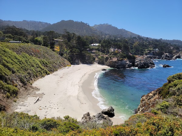 Point Lobos State Natural Reserve 4