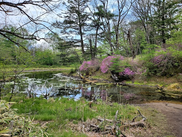 Izumiyado Pond