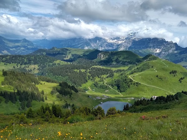Suisse 61