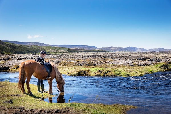 Ishestar Horse Riding Centre