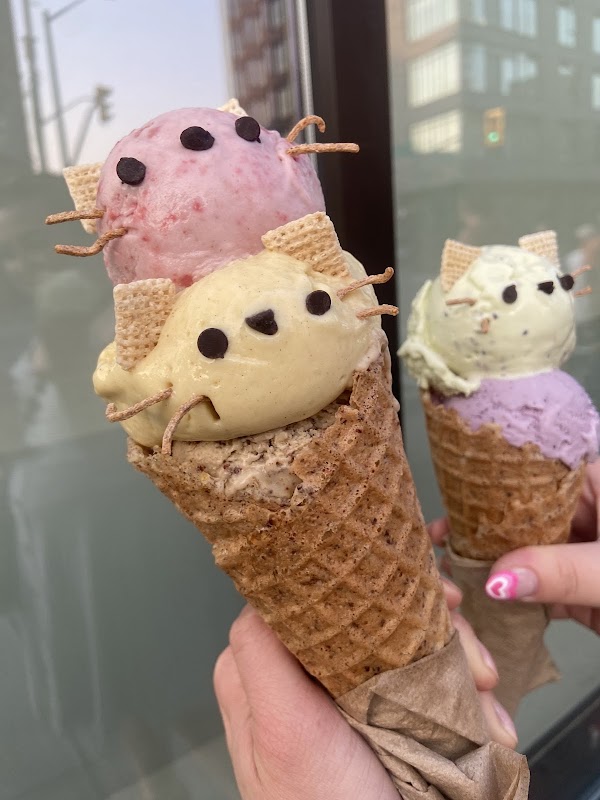 Moo Shu Ice Cream 2