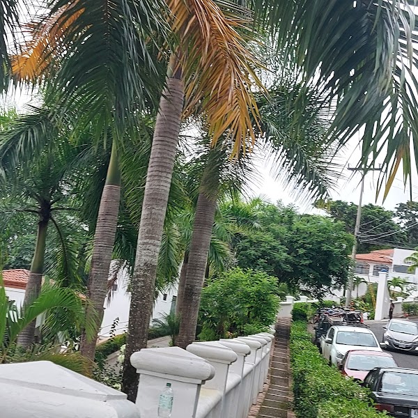Manuel Antonio 4