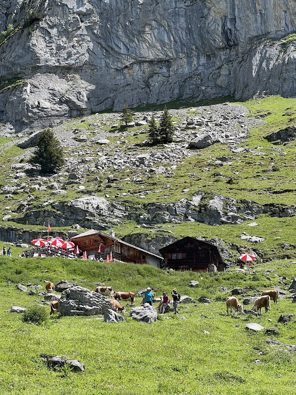 Berghaus Unterbärgli 3
