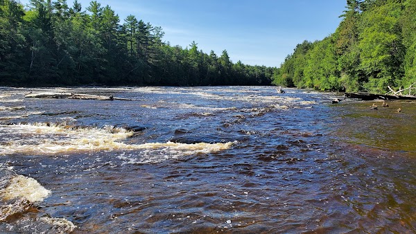 Tahquamenon Falls Lower Falls 5