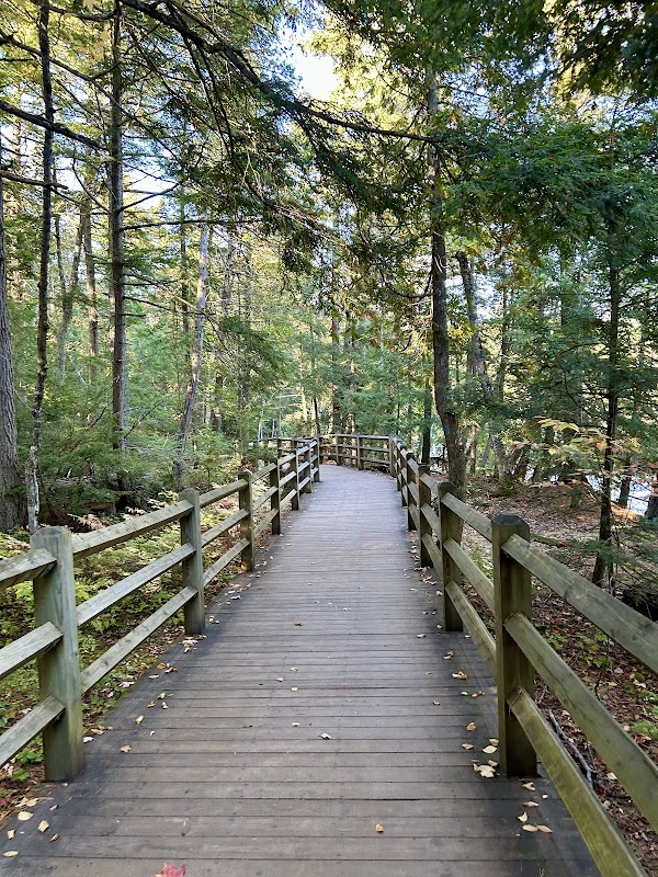 Tahquamenon Falls Lower Falls 2