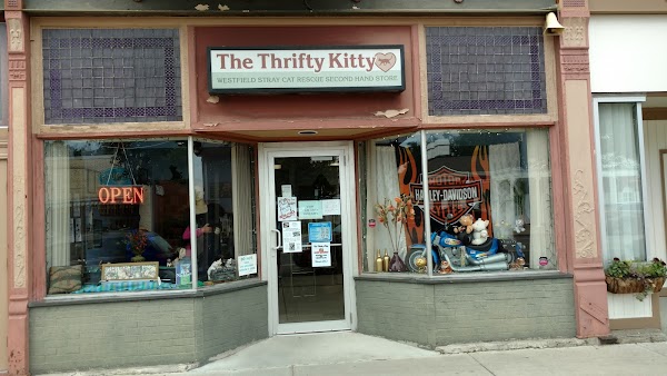Thrifty Kitty