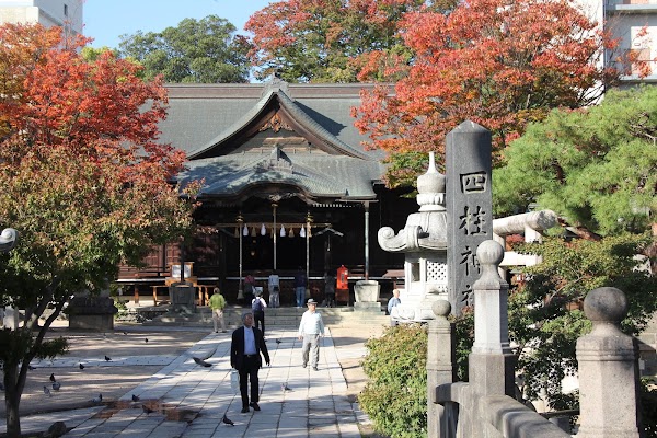 Matsumoto 3