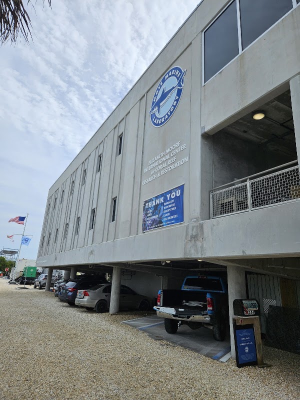 Mote Marine Laboratory 1