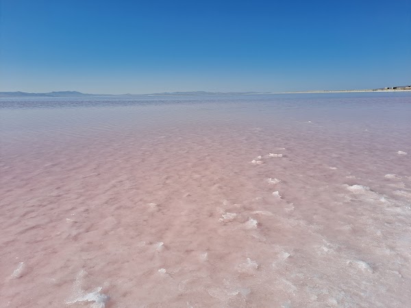 Great Salt Lake 5