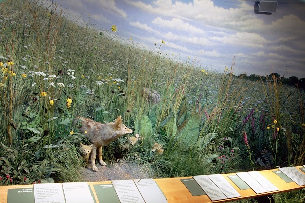 Peggy Notebaert Nature Museum 5