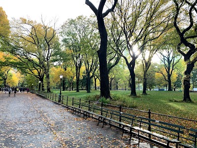 The Mall