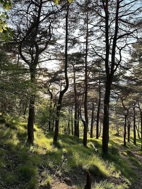Roc d'Ormee 4