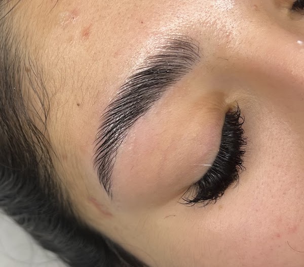 The Lash Vault London