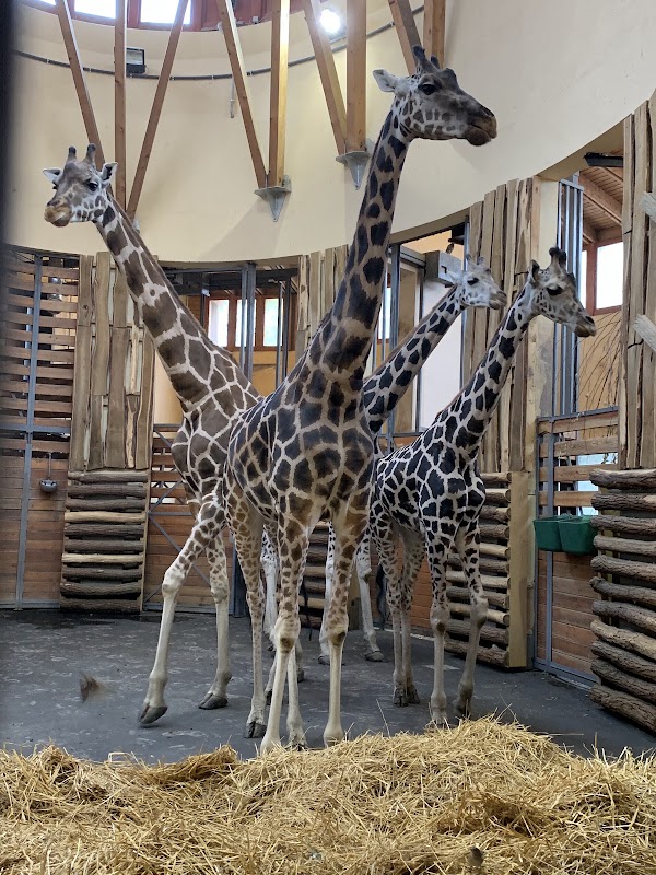 Budapest Zoo & Botanical Garden 5