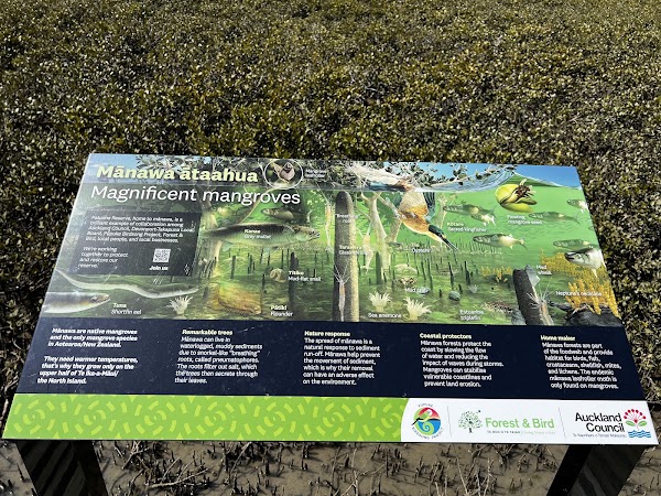 Patuone Reserve
