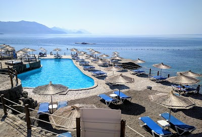 Montenegro  🇲🇪 33