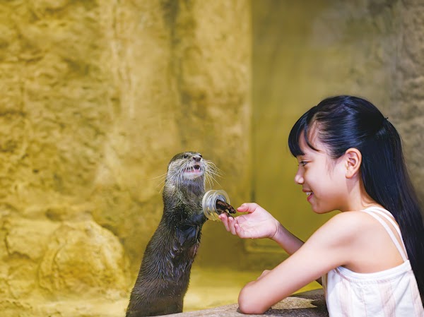 DMM Kariyushi Aquarium okinawa